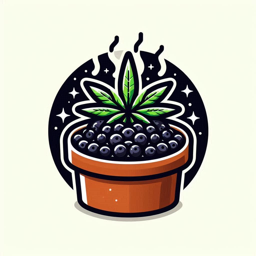 Grow Cannabis Seeds in Maine