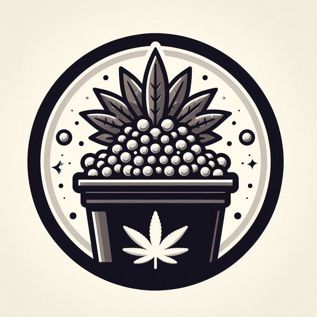 Cannabis Seeds in New Jersey