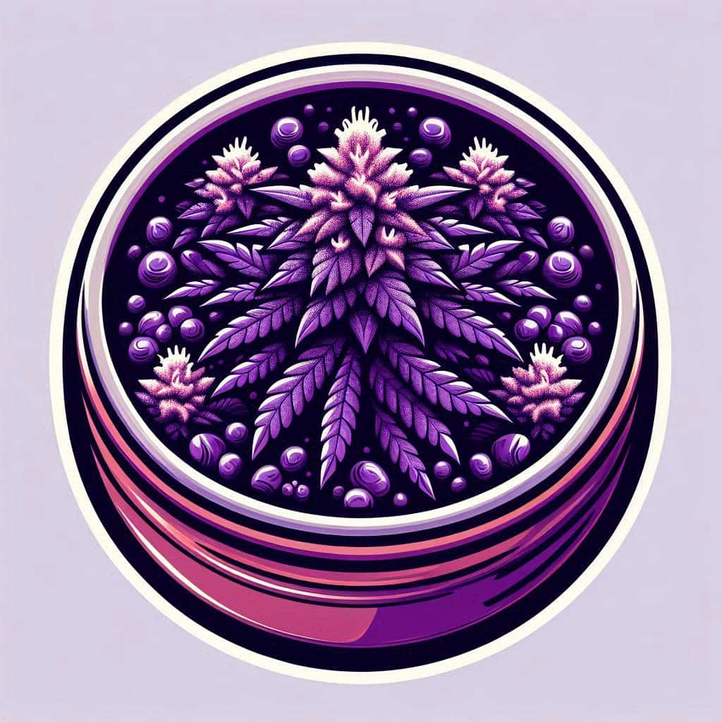 Cannabis Seeds in South Carolina